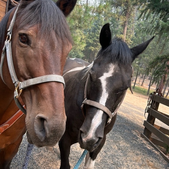 LIVE SHARE SHOW Tuesday Nov 4- 9 EST/6 PST - Picture 12 of 12